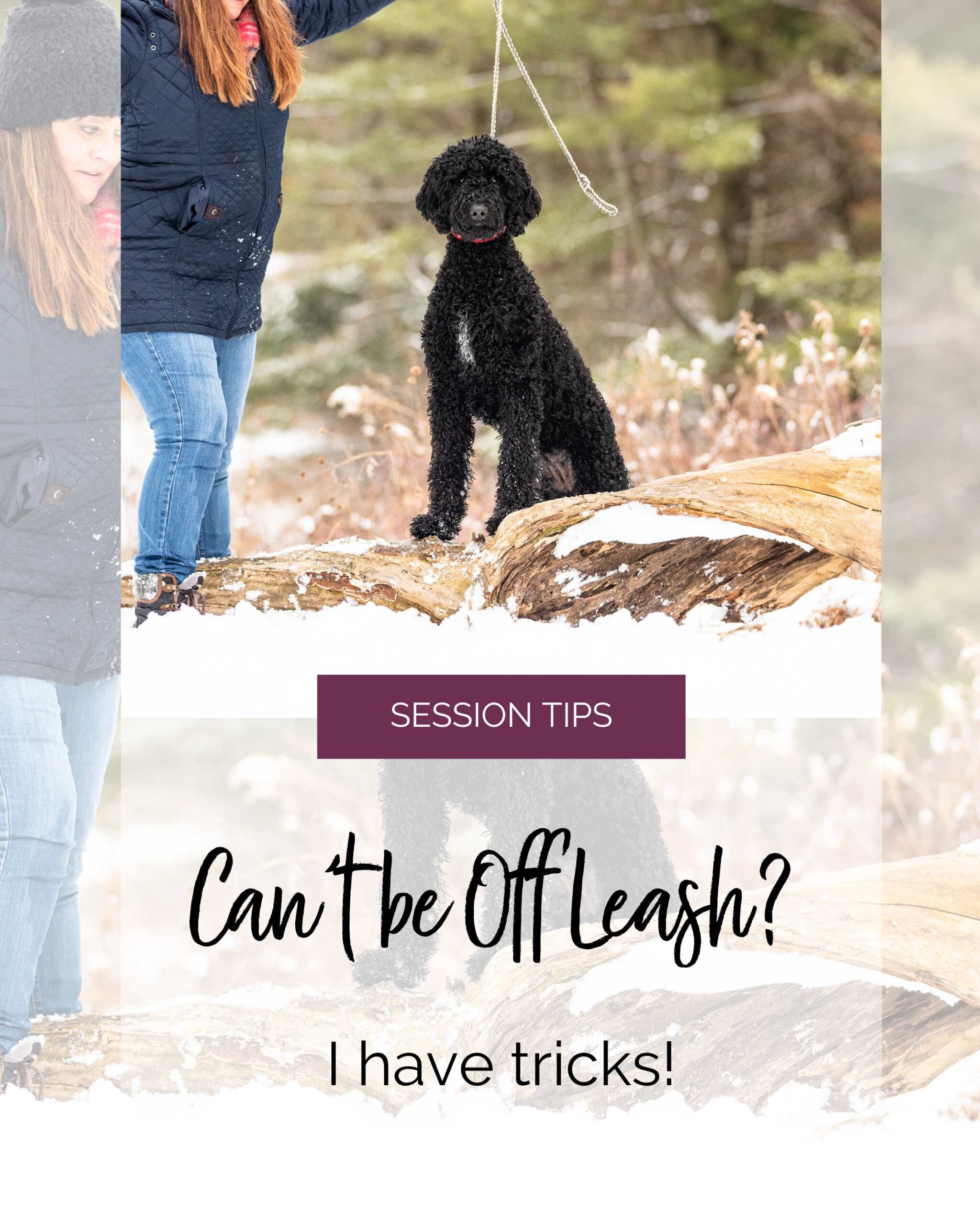 woman next to a golden doodle on a log