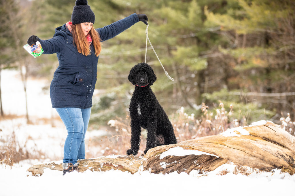 woman next to a golden doodle on a log