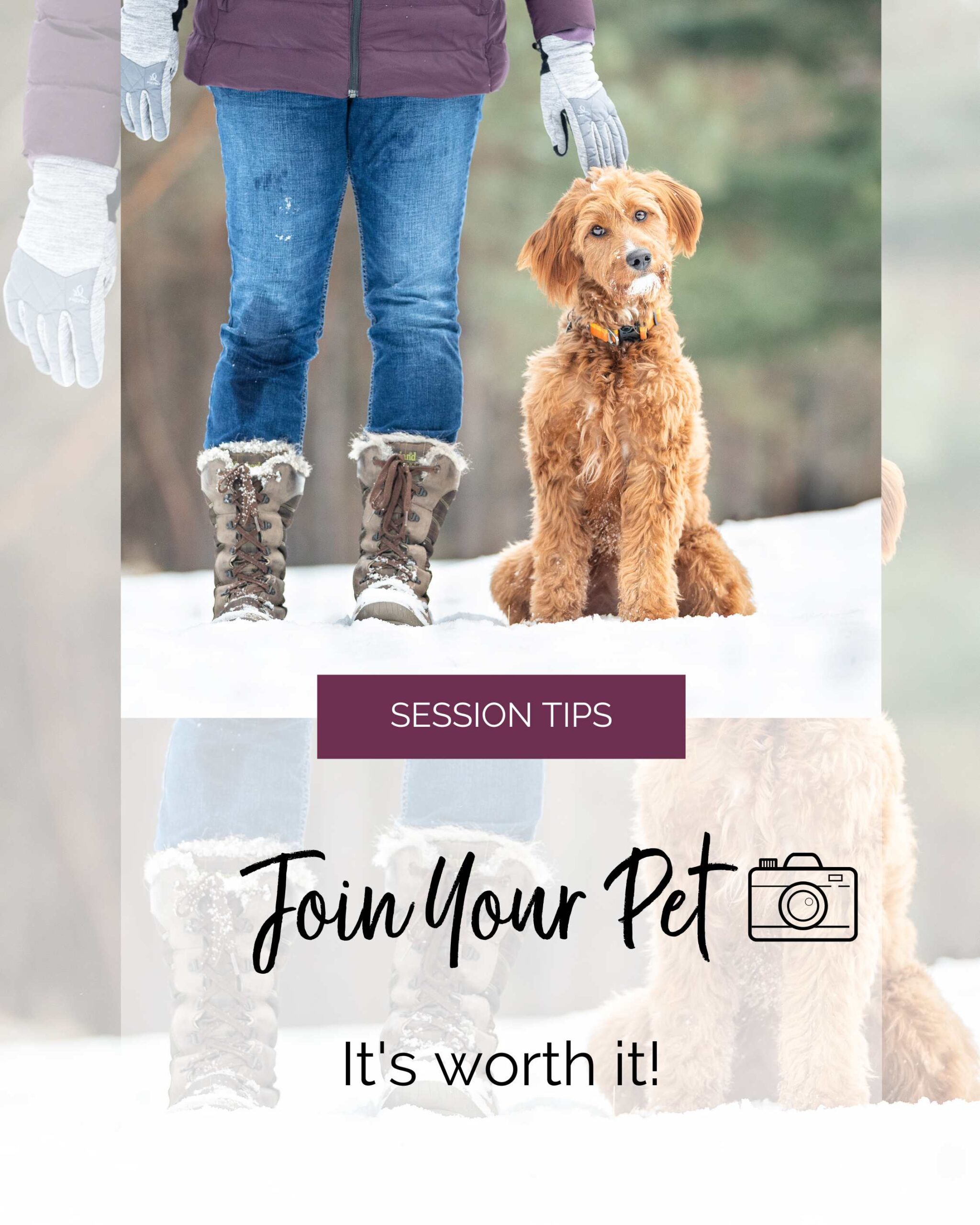 woman standing in the snow next to her mini goldendoodle