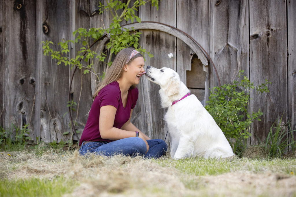 English cream dog licking girl's face