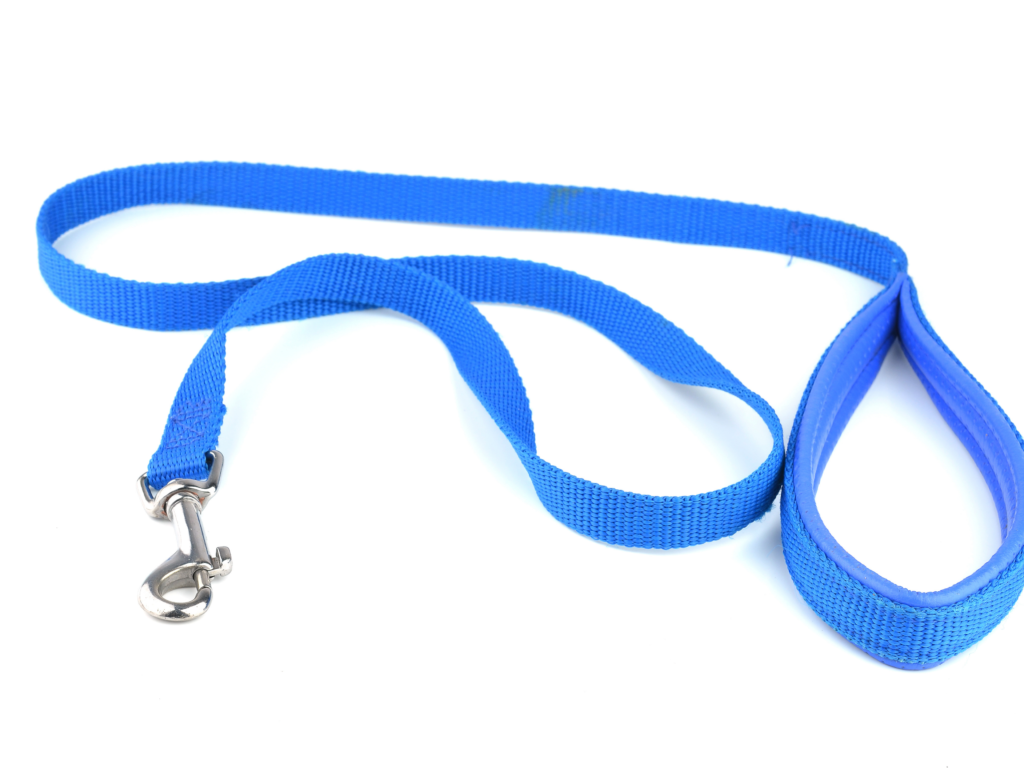 blue dog leash