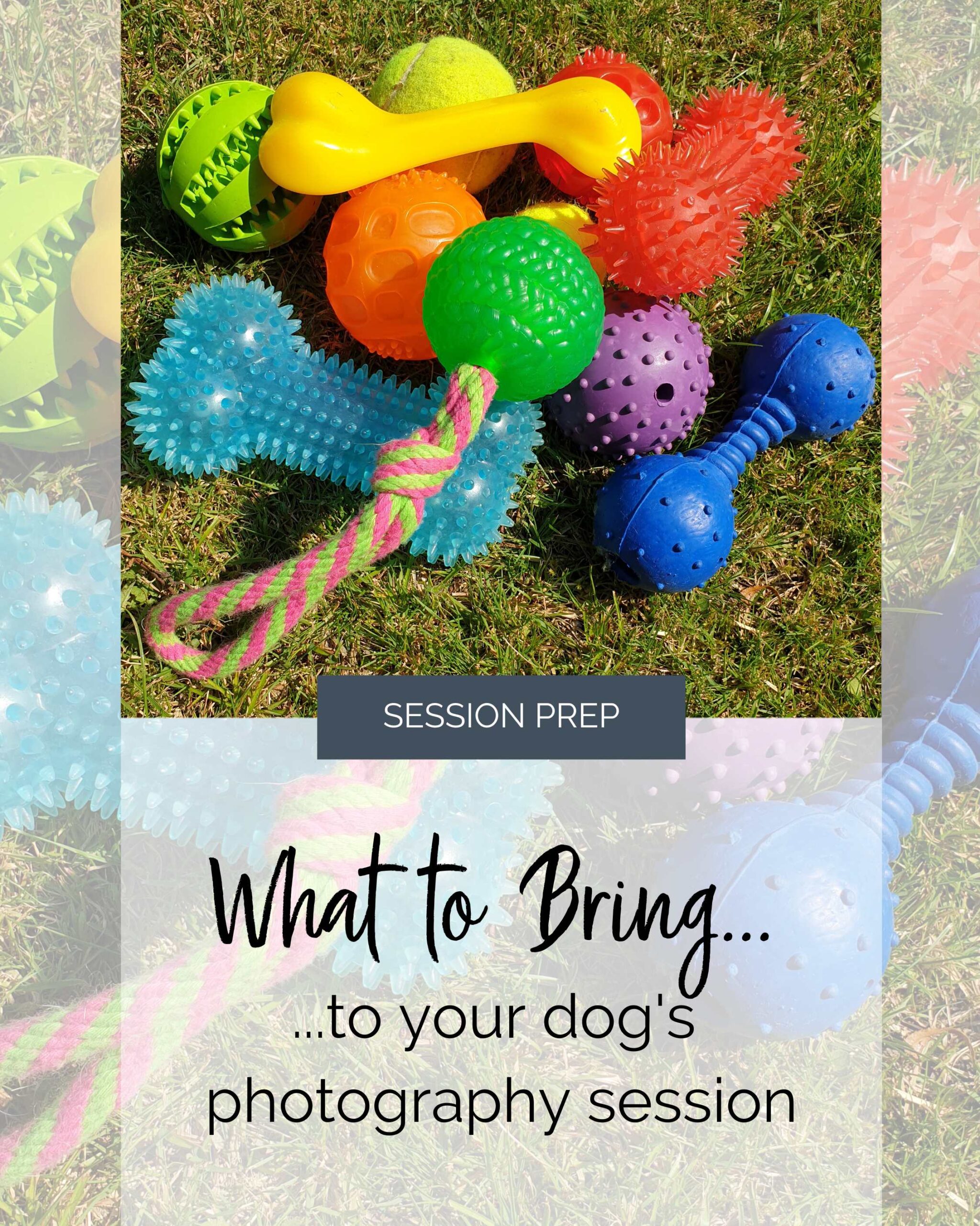 a group of brightly colored dog toys