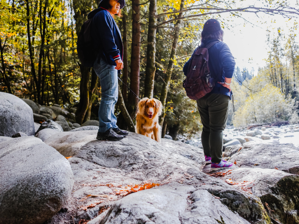 women walking with a dog on rocks