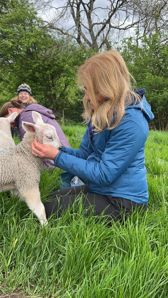 lady petting a lamb