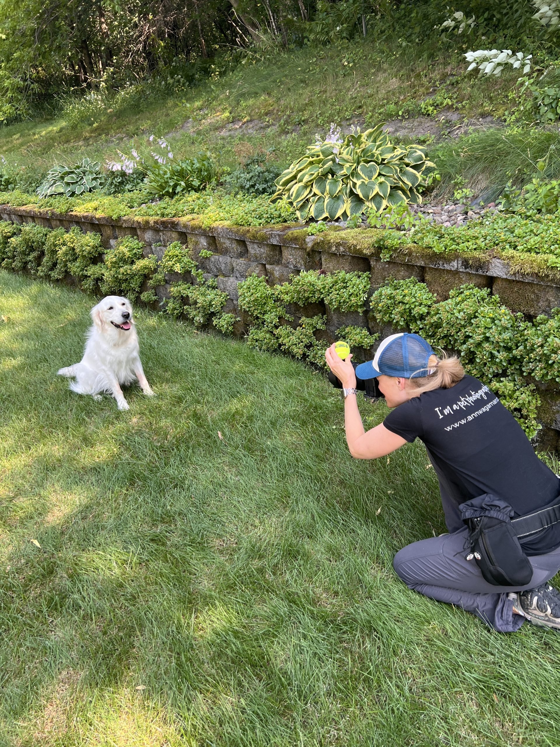 woman holding a ball taking a picture of a white dog