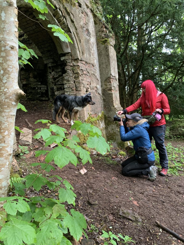 photographer taking a picture of a dog