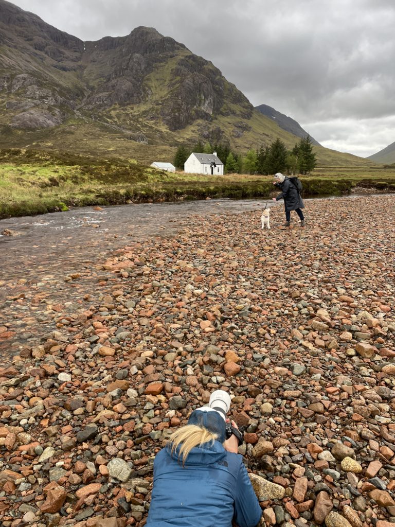 photographer taking a picture of a beagle