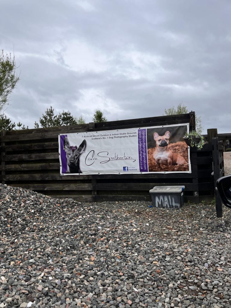 sign with dogs on a wooden fence