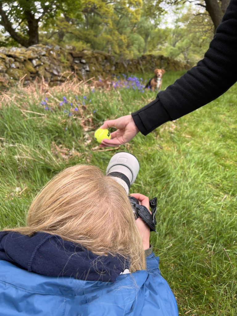 woman taking a picture of a dog with someone holding a tennis ball