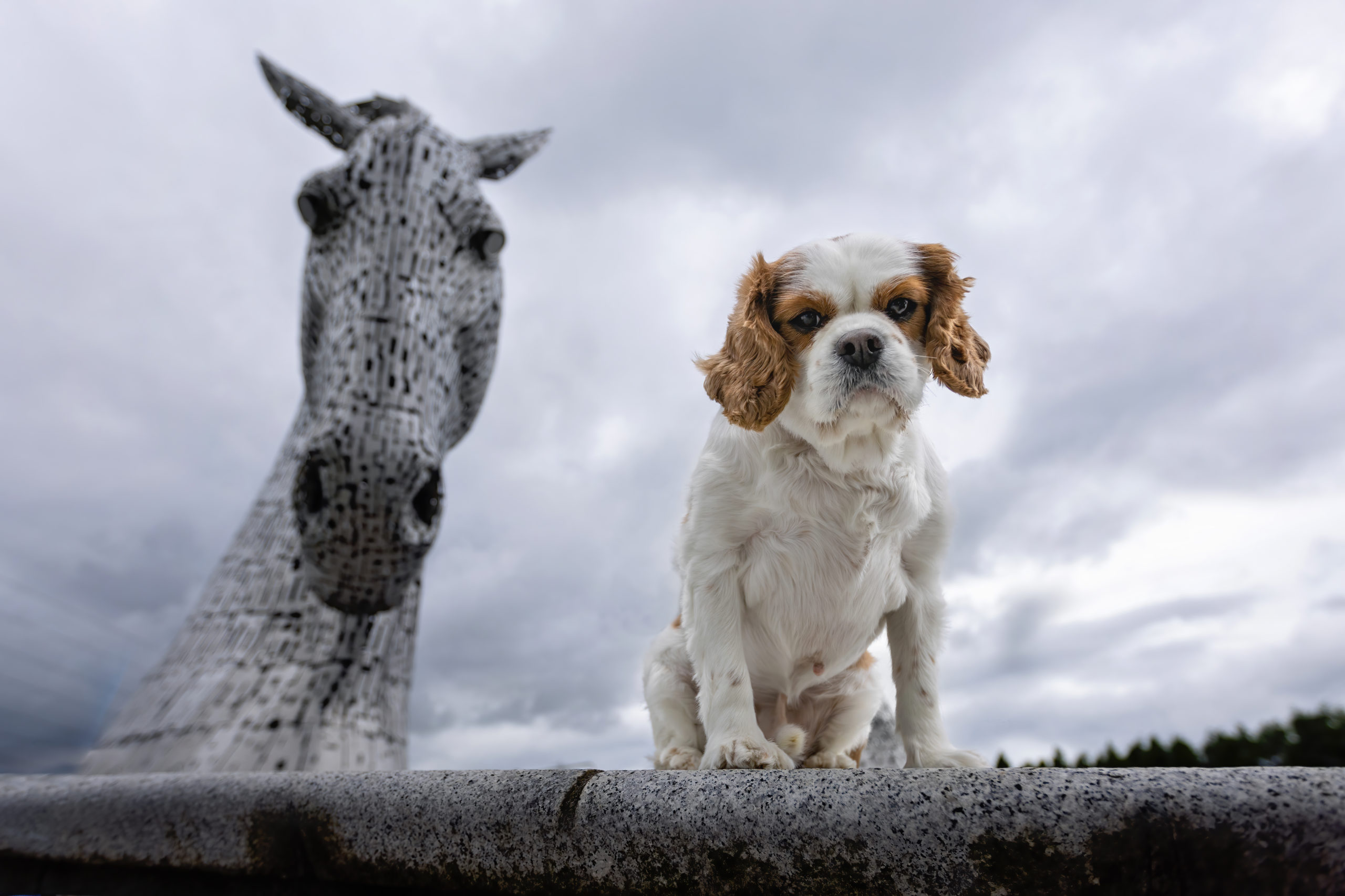 metal horse head with a dog looking