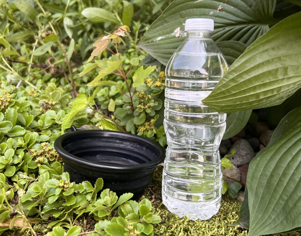 plastic water bottle with dog bowl