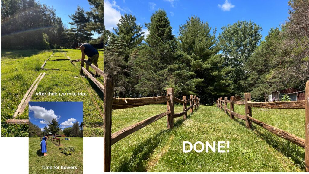 collage of an old wooden fence being assembled