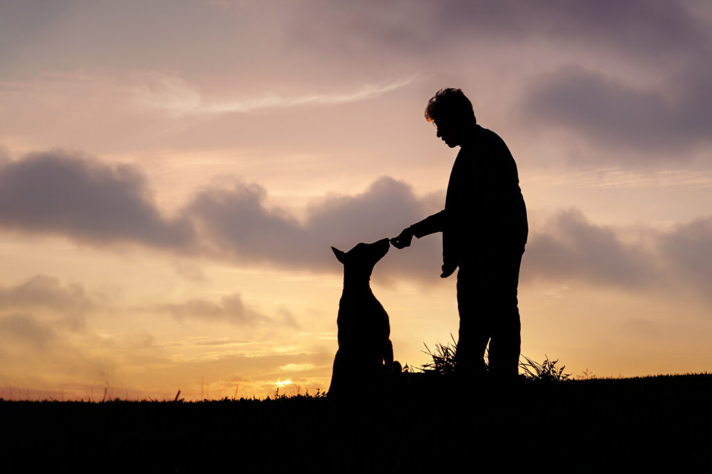 silhouette of woman with her dog