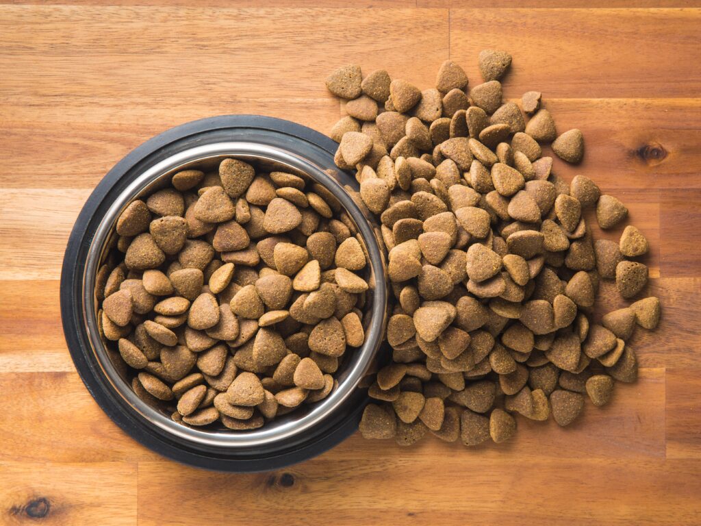 birdseye view of a bowl of dog food and some on the floor