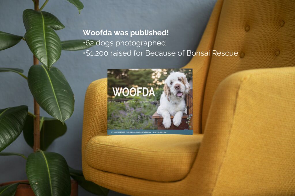 a dog book, called woofda, on a bright yellow chair