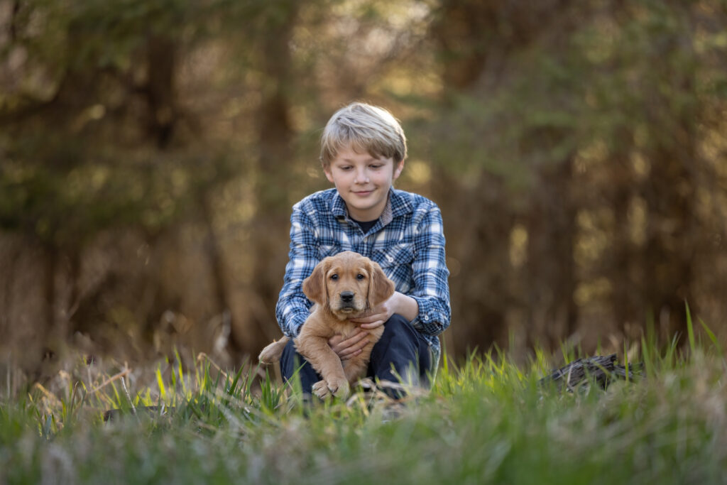 golden retriever puppy being held by a blonde boy