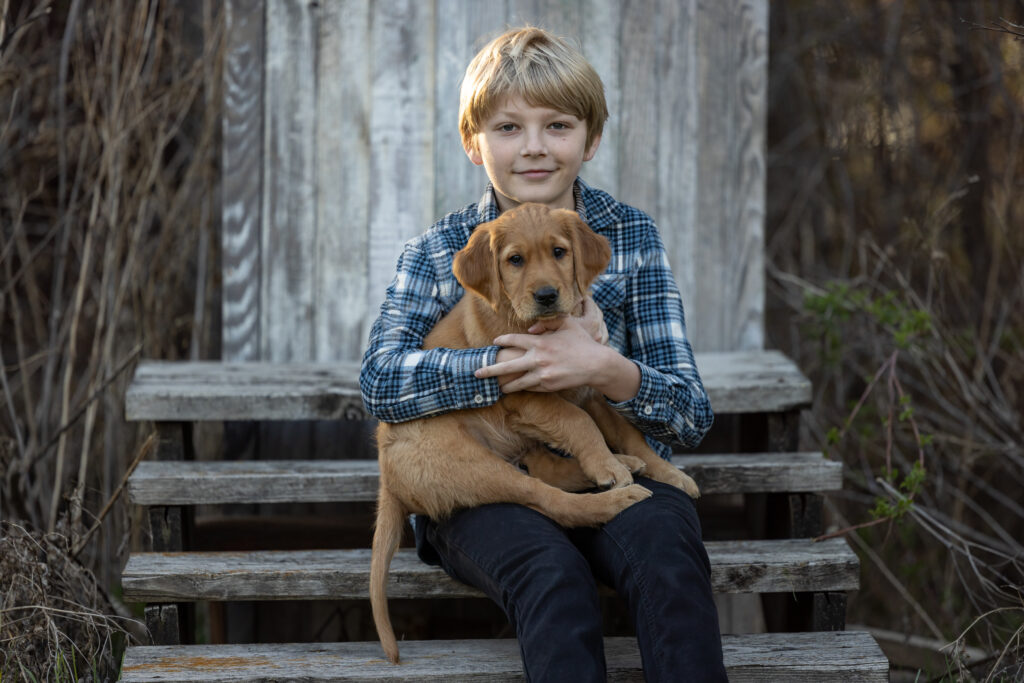 golden retriever puppy being held by a blonde boy